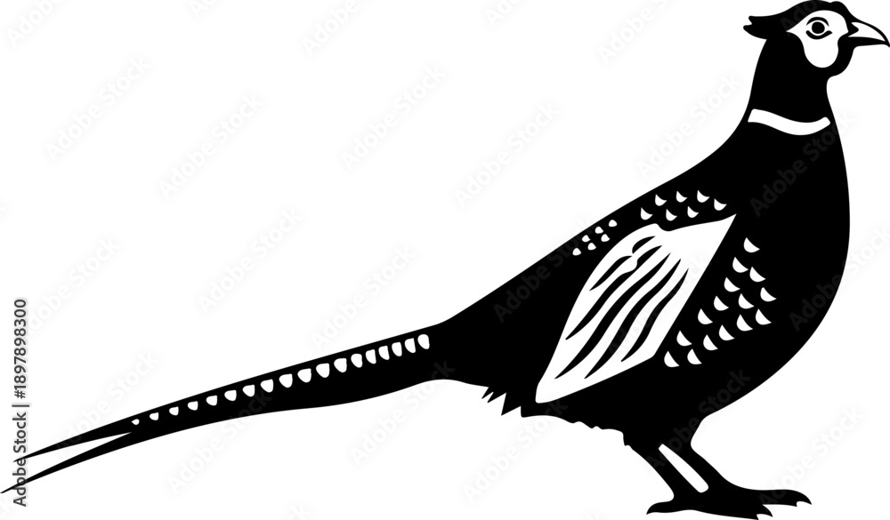 Obraz premium Pheasant silhouette vector illustration