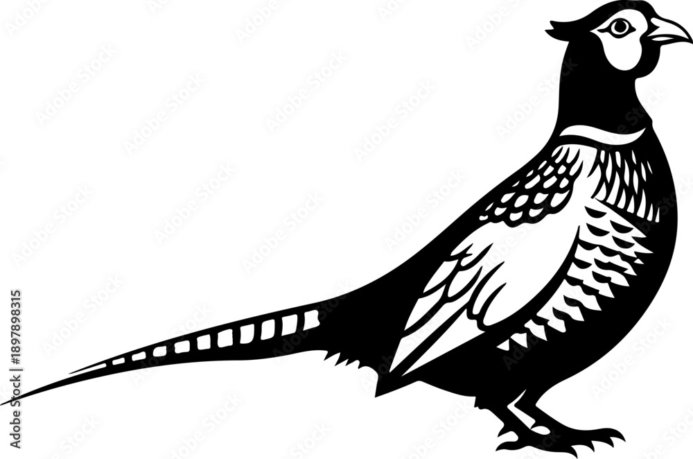 Obraz premium Pheasant silhouette vector illustration