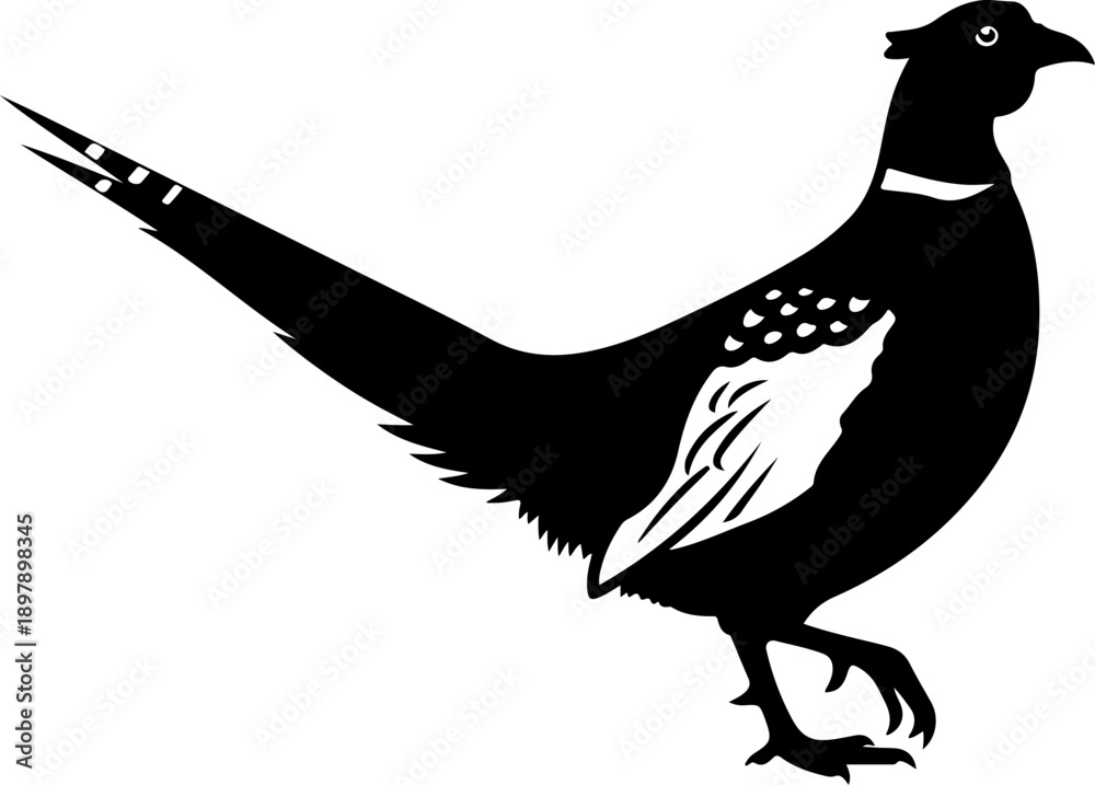 Obraz premium Pheasant silhouette vector illustration