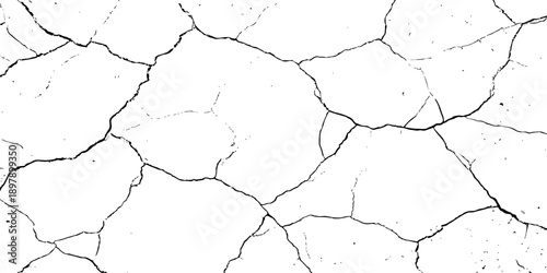Cracked Clay Ground Texture Showing Severe Drought Effects