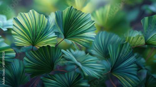 A cluster of vibrant green and yellow leaves, showcasing intricate textures. The scene evokes a sense of freshness and natural beauty.