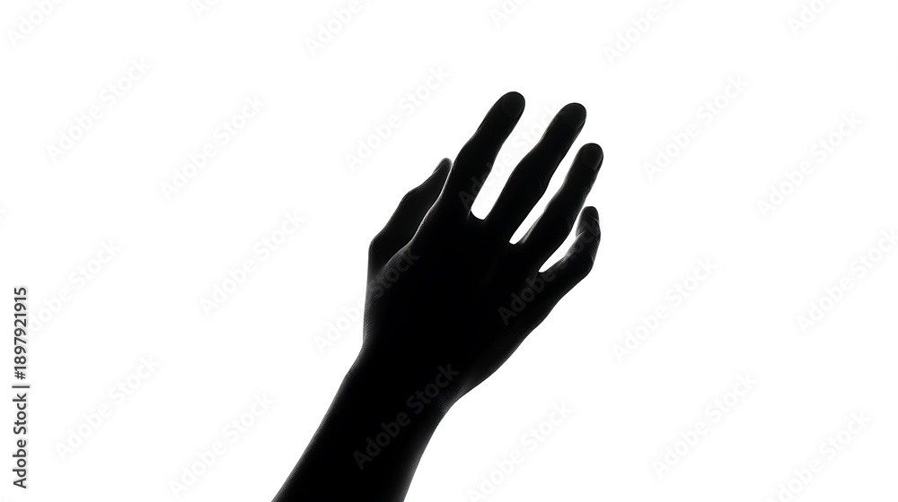 Obraz premium Silhouette of a Reach: A monochrome photograph captures the graceful silhouette of a hand reaching out, conveying a sense of longing and anticipation.