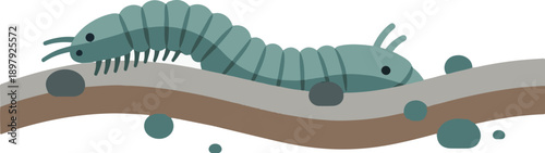 Stylized illustration of a segmented blue-green invertebrate creature on a layered surface