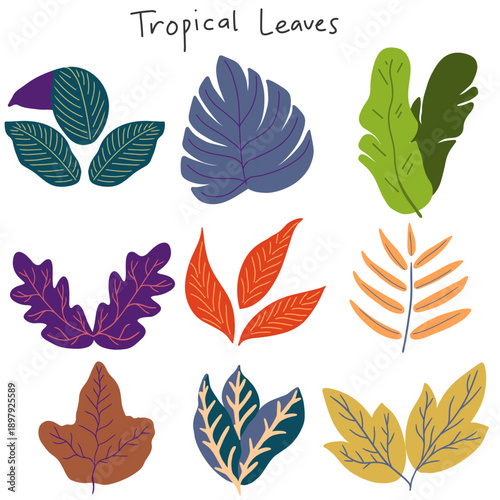 ​Set of Stylized Tropical Leaf Icons and Exotic Foliage Elements 