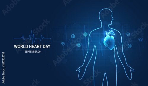 Human heart and body with red cardio line. Heart anatomy, cardiology medicine, organ health, medical science, life healthcare, cardio illness concept illustration or background for medical apps, websi