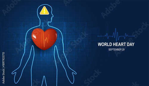 Human heart and body with red cardio line. Heart anatomy, cardiology medicine, organ health, medical science, life healthcare, cardio illness concept illustration or background for medical apps, websi