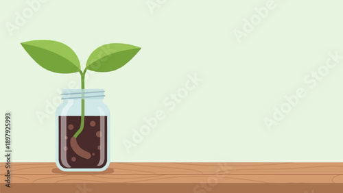 Small plant sprouting in a glass jar on a wooden surface