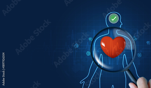 Magnifying Glass Focusing on Human Heart Anatomy for Cardiology Diagnosis, Healthy Heart Checkup Result on Blue Digital Background with Body Silhouette Vector Illustration Concept.