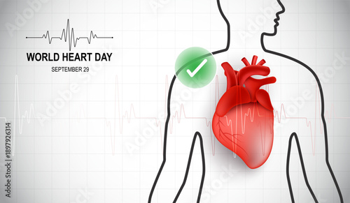 World Heart Day Concept with Human Heart Anatomy Illustration on Medical Background, Healthcare and Cardiovascular Disease Prevention Infographic with Pulse Line and Green Check Mark.
