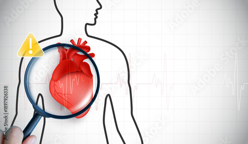 Heart disease risk and medical checkup concept featuring human silhouette, realistic heart anatomy under magnifying glass, warning alert and ECG heartbeat background for cardiology health services.