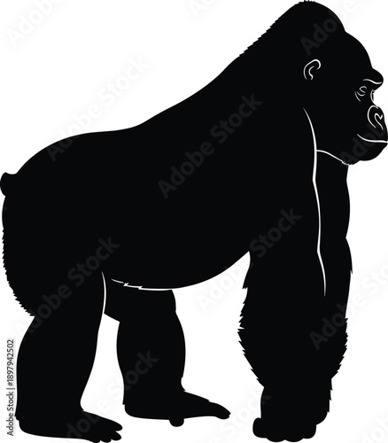 Gorilla silhouette side view illustration, wild animal design for zoo and wildlife concepts, powerful primate figure isolated on white background