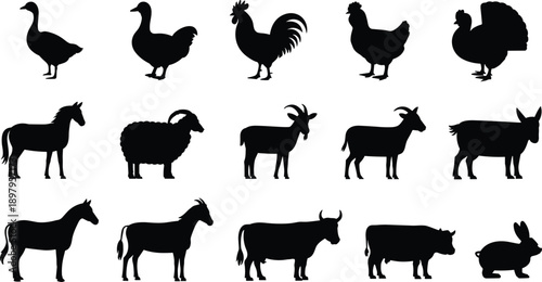 Set of farm animal silhouettes including cow, horse, sheep, goat, chicken, and rabbit, black livestock vector icons on white background. (20 words)