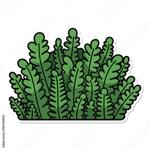A stylized illustration of lush green fern leaves