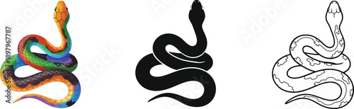 Collection of three distinct coiled snake icons featuring a vibrant colorful illustration a solid silhouette and a detailed black outline design variation