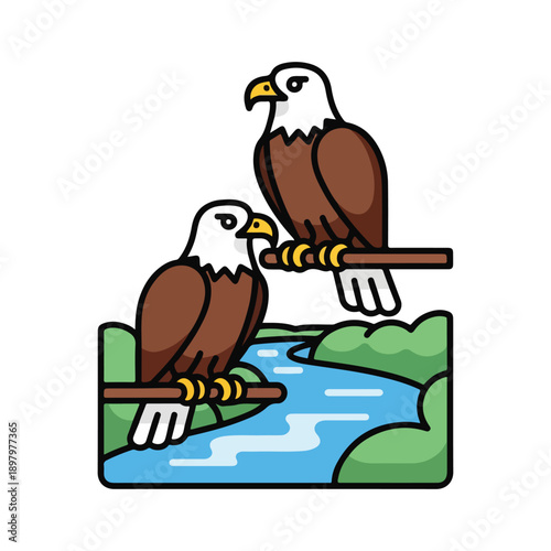 Two brown and white eagles on a tree branch