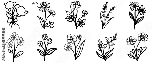 Arcana Flower No.01 White Rose Quiet Symbolic Floral Illustration