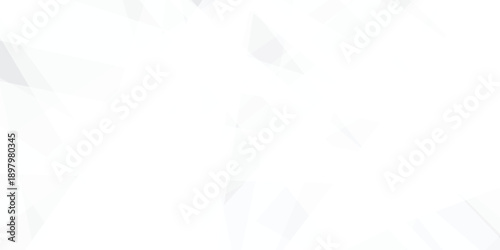 Abstract background with white and gray and geometric style with simple lines and corners, polygons as background geometric style with simple lines and corners, polygons as background paper texture