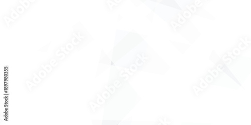 Abstract background with white and gray and geometric style with simple lines and corners, polygons as background geometric style with simple lines and corners, polygons as background paper texture