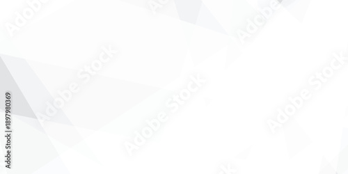 Abstract background with white and gray and geometric style with simple lines and corners, polygons as background geometric style with simple lines and corners, polygons as background paper texture