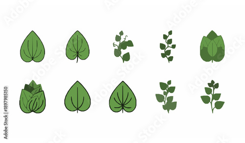 A cute cartoon flat vector illustration of betel plants on a solid white background. Includes smiling betel leaves, friendly vine plant, rounded leaf shapes, bright solid green colors, thick outlines,