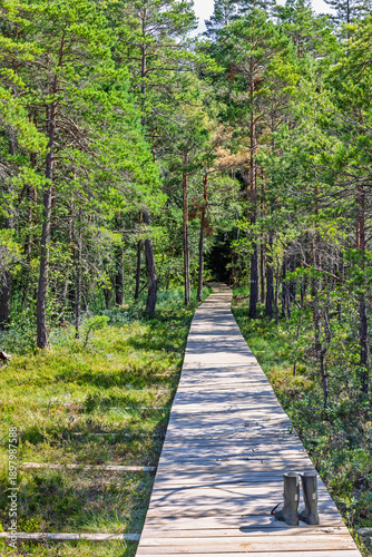 Forgotten wellington boots on a walking trail in a forest