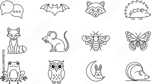 Cute animal and insect line icons set, bat raccoon hedgehog fox bee vector outline illustration, minimal cartoon design