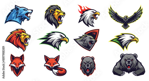 Vector illustration of a funny cartoon animal set featuring wild birds and fish in a seamless nature pattern design