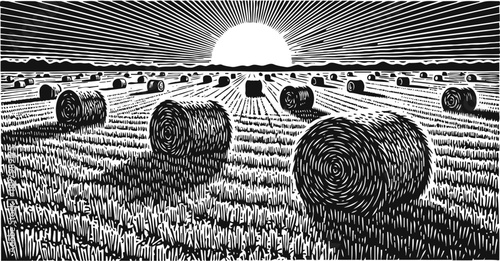 Sunrise over a field with round hay bales agricultural rural landscape with straw rolls at dawn