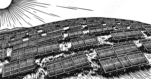 Solar panels field absorbing sunlight for renewable energy and sustainable power generation