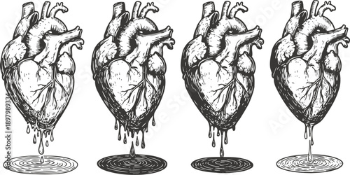 Four detailed hand drawn anatomical hearts dripping liquid into circular ripple patterns below, black and white sketch