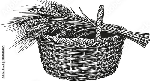 Basket of ripe wheat stalks, handwoven wicker basket filled with fresh grain harvest