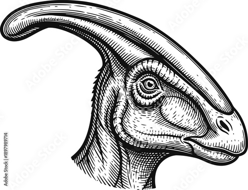 Detailed black and white sketch of a parasaurolophus dinosaur head with distinctive crest