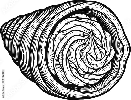 Intricate detailed black and white illustration of a sea snail shell with spiral patterns and textures