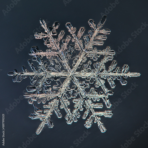 Wallpaper Mural natural snowflake on a black background, macro photo of water crystal Torontodigital.ca