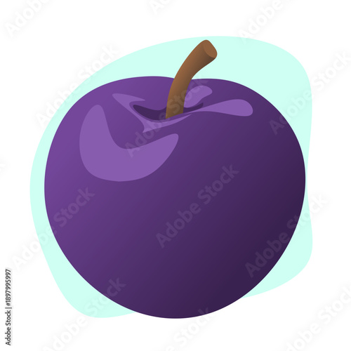 plum vector illustration