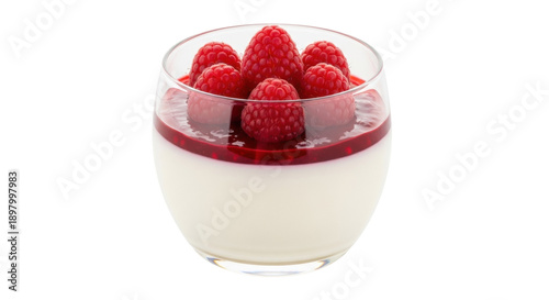 Fotografi Delicious panna cotta with raspberry sauce and fresh raspberries isolated PNG, I