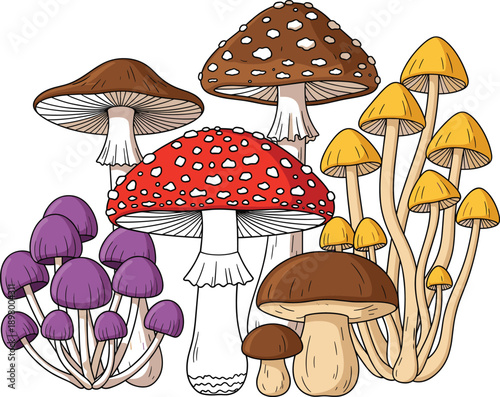Colorful Wild Mushroom Illustration Set with Toadstools and Forest Fungi Varieties for Nature, Botanical Study, Fantasy Art, and Organic Food Design