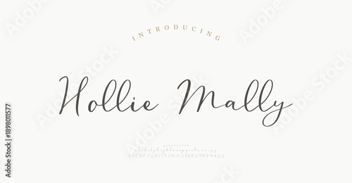 Hollie Mally, Script Minimal luxury font alphabet logo. Typography beauty fashion elegant minimalist serif italic fonts decorative wedding vintage retro logos. vector illustration
