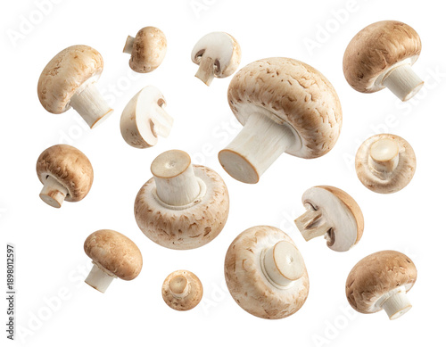Cluster of Flying Champignon Mushrooms in Mid-Air, dynamic group composition, isolated on transparent background