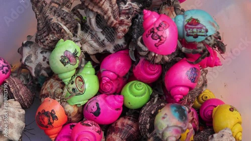 Group of hermit crabs crawling in colorful painted shells for pet trade concept