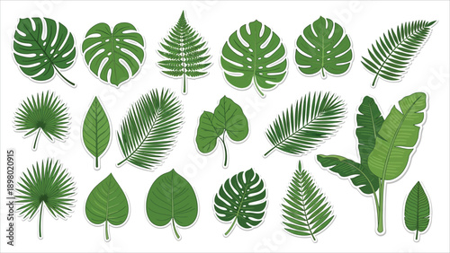 Jungle Leaves Vector Set – Cartoon Tropical Plants, Palm, Banana & Monstera Foliage