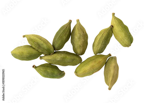 Fresh green cardamom pods isolated on transparent background