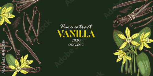 Vanilla vector horizontal banner template