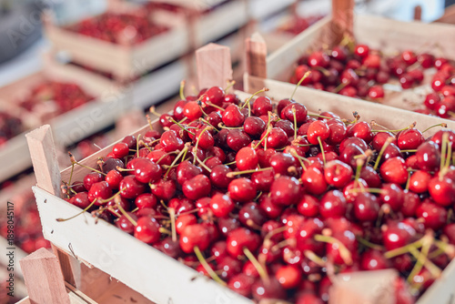 Wallpaper Mural Fresh red sweet cherries in wooden crates prepared for sale on a market. Torontodigital.ca
