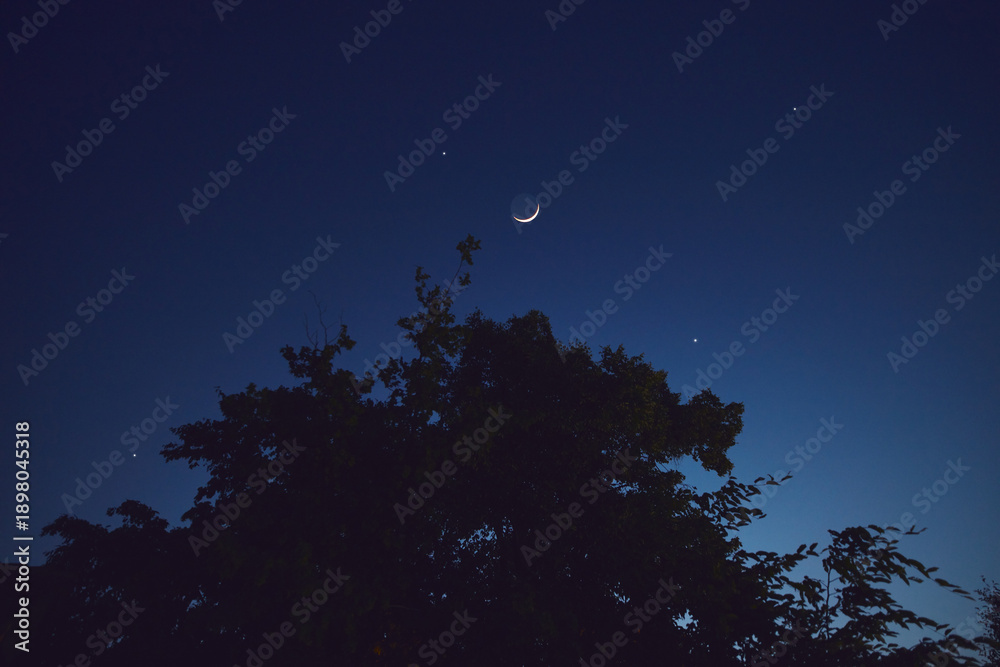 Fototapeta premium Crescent young Moon with stars, planets and rural countryside tree silhouettes.