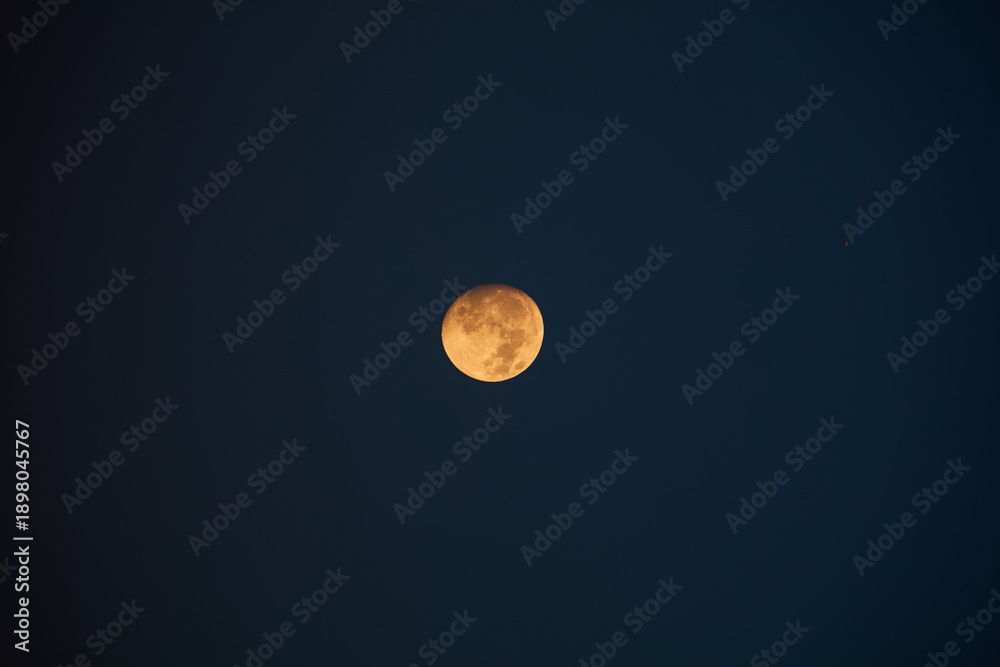 Fototapeta premium Waning gibbous Moon photographed with a long focal lens.