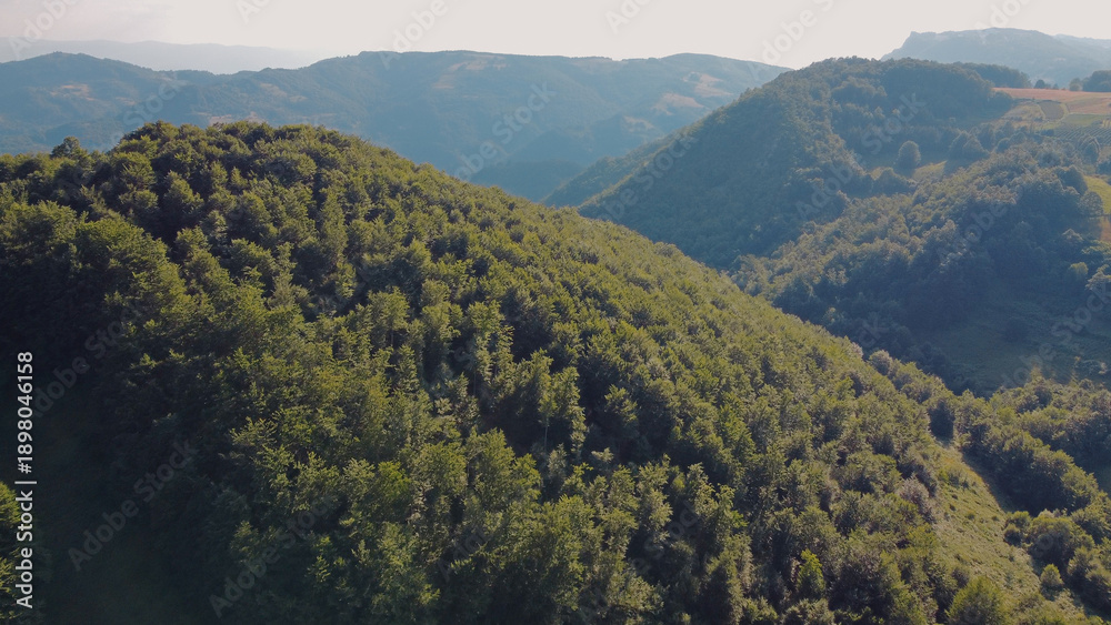 Obraz premium Tranquil sunny summer landscape with green fields and hills.