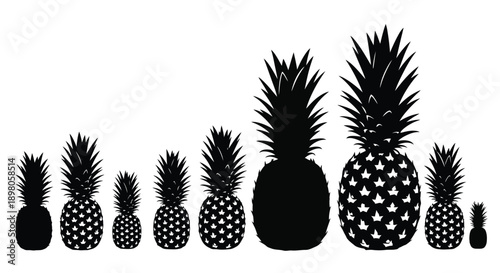 A row of silhouetted pineapples in varying sizes from large to small