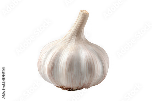 Single garlic bulb isolated on transparent background