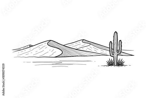 Desert landscape with cactus and sand dunes in linear style